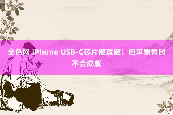 全色网 iPhone USB-C芯片被攻破！但苹果暂时不会成就