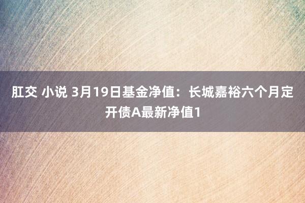 肛交 小说 3月19日基金净值：长城嘉裕六个月定开债A最新净值1