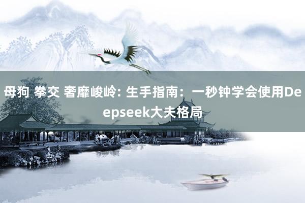 母狗 拳交 奢靡峻岭: 生手指南：一秒钟学会使用Deepseek大夫格局