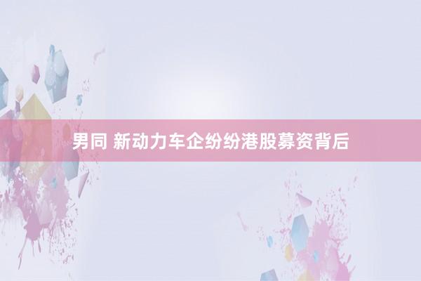 男同 新动力车企纷纷港股募资背后