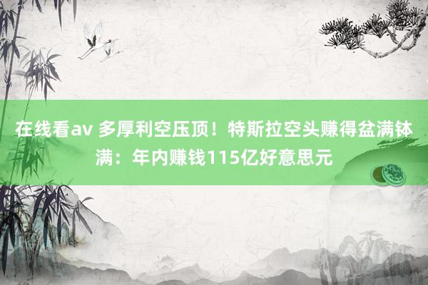 在线看av 多厚利空压顶！特斯拉空头赚得盆满钵满：年内赚钱115亿好意思元